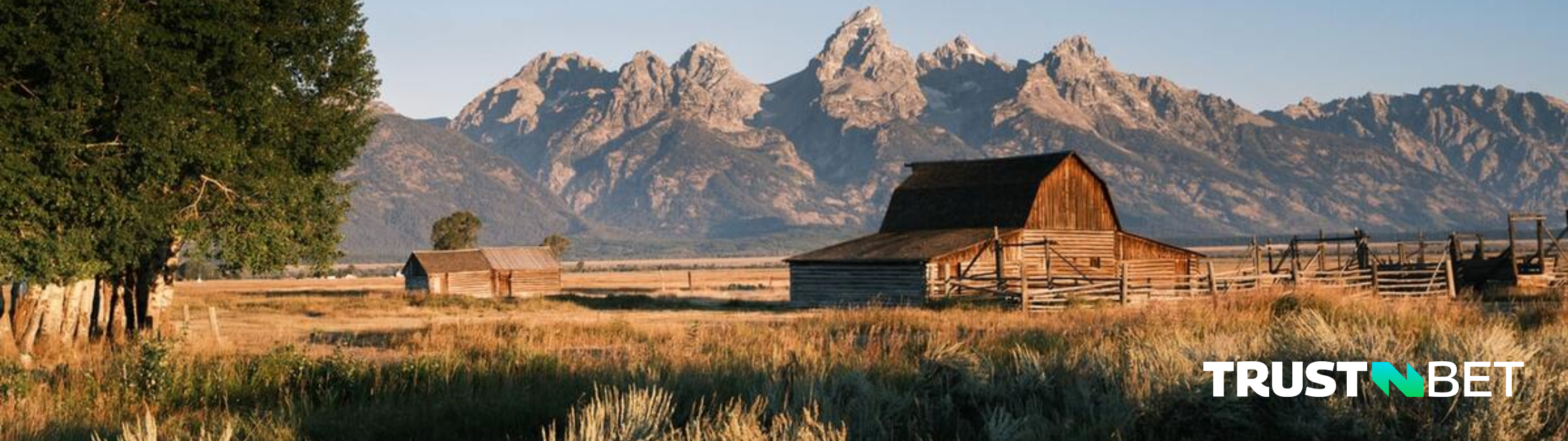 Online Sports Betting in Wyoming (WY) — Legal US State